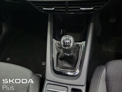 2023 Skoda Octavia