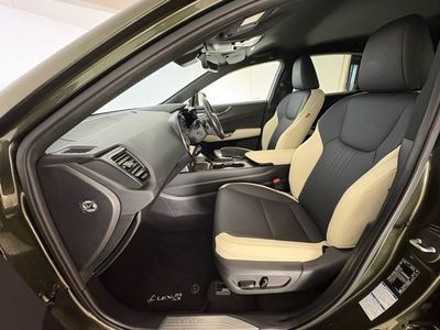 2023 Lexus NX 450H+