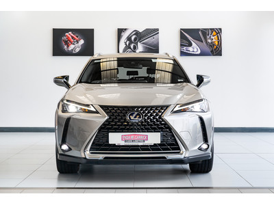 2021 Lexus UX 300e