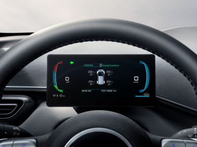 2025 BYD Dolphin Surf