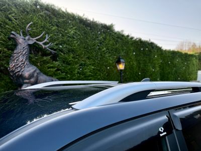 2023 Ssangyong Musso