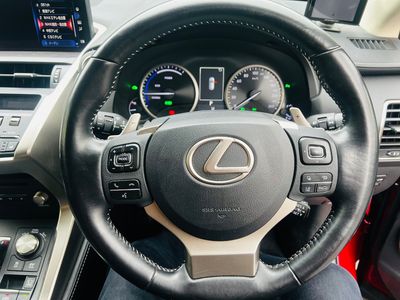 2019 Lexus NX 300h