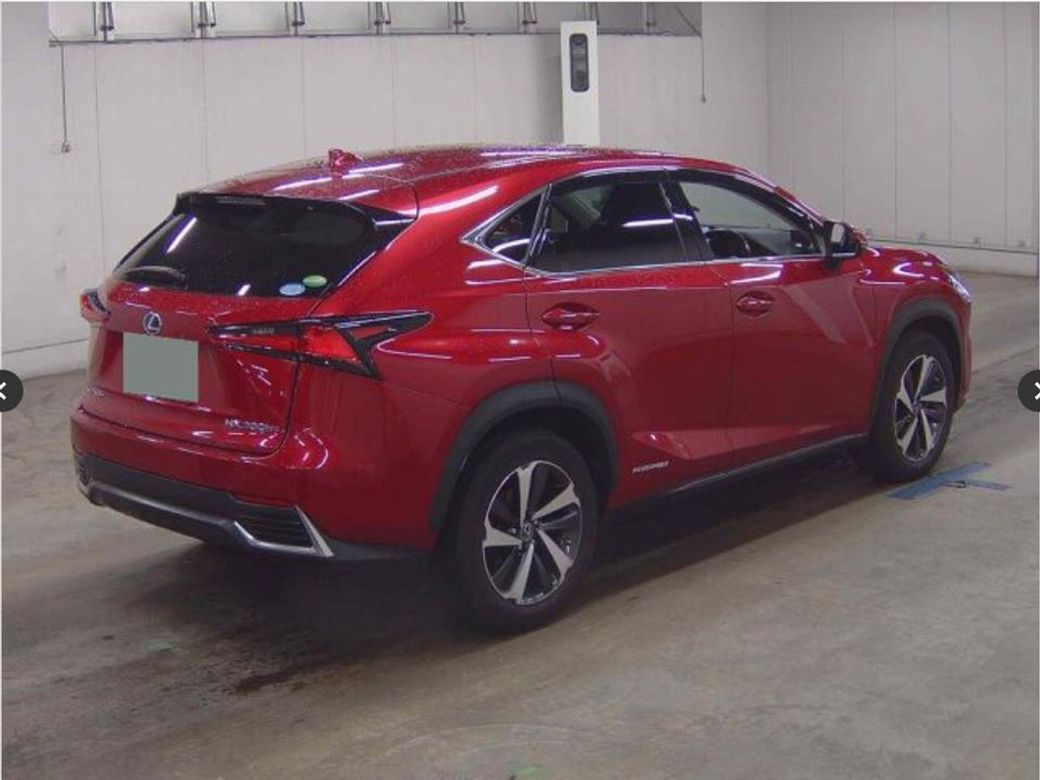 2019 Lexus NX 300h