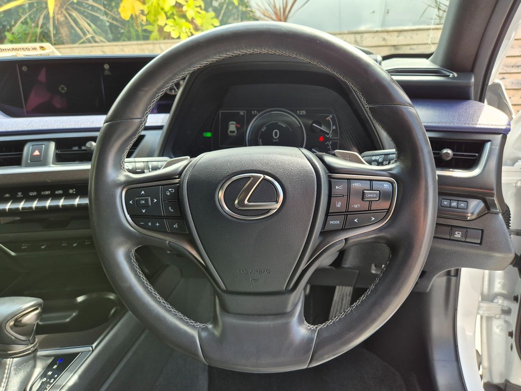 2021 Lexus UX 250H
