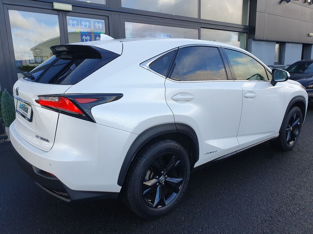 2014 Lexus NX 300h