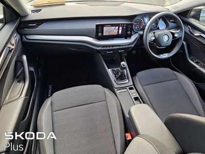 2023 Skoda Octavia