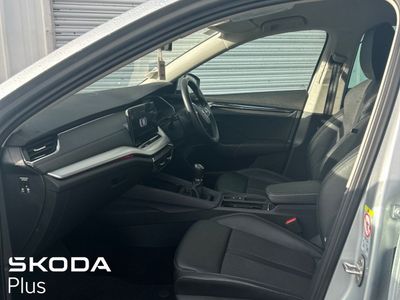 2023 Skoda Octavia
