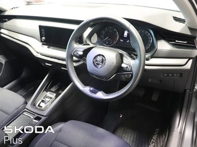 2023 Skoda Octavia