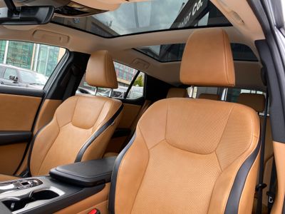 2024 Lexus RZ