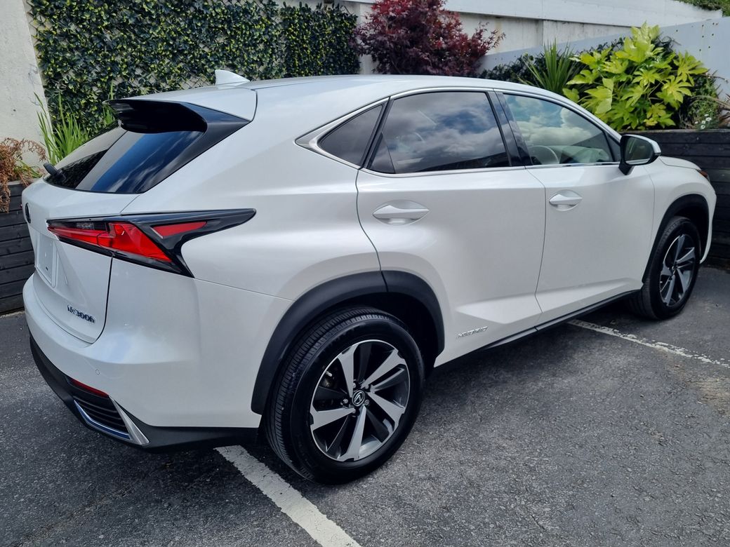 2020 Lexus NX