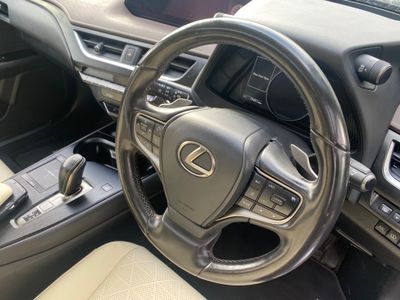 2021 Lexus UX 300e