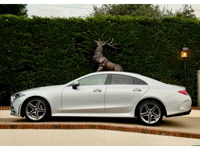 2019 Mercedes-Benz CLS Class