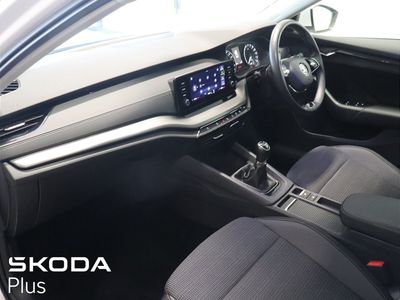 2023 Skoda Octavia