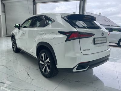 2019 Lexus NX