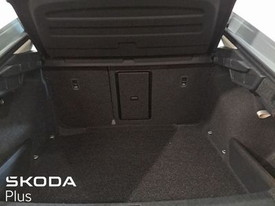 2024 Skoda Octavia