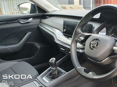 2022 Skoda Octavia