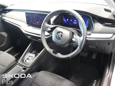 2023 Skoda Octavia
