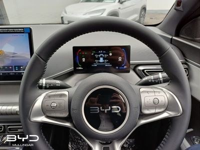 2026 BYD Dolphin Surf
