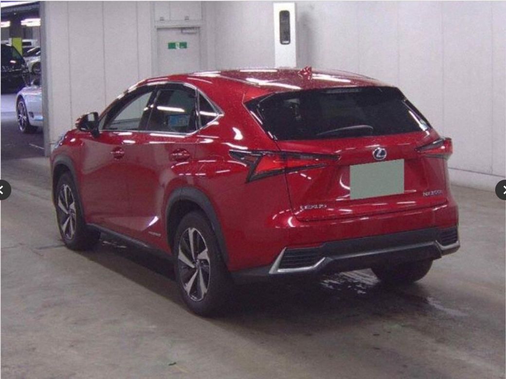 2019 Lexus NX 300h