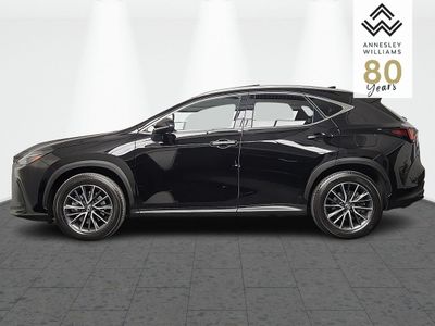 2025 Lexus NX