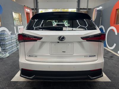 2020 Lexus NX 300h