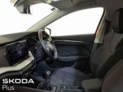2023 Skoda Octavia