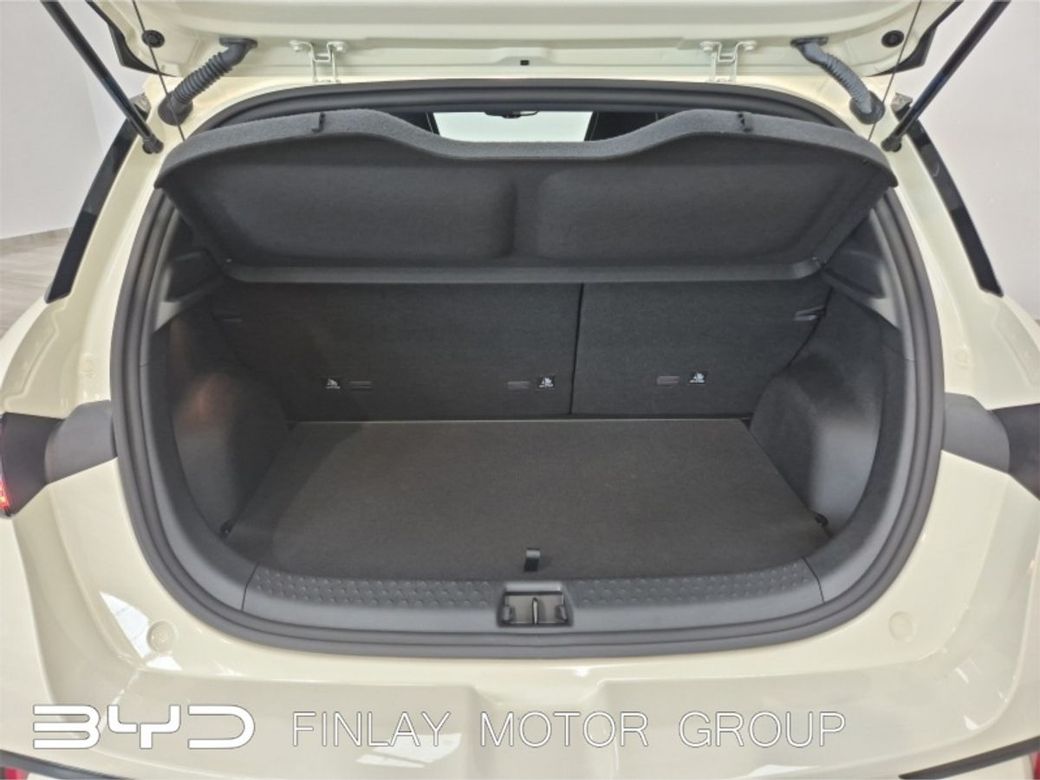 2026 BYD Dolphin
