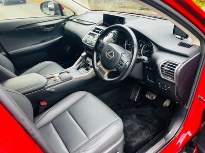 2019 Lexus NX 300h
