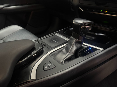 2020 Lexus UX 250H