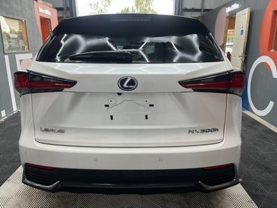 2019 Lexus NX 300h