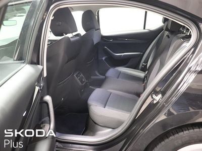 2023 Skoda Octavia