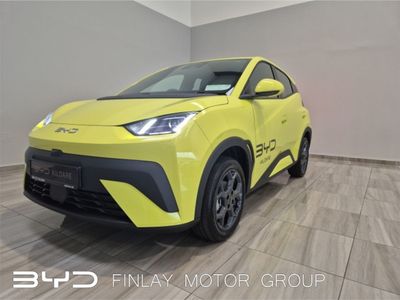 2026 BYD Dolphin Surf