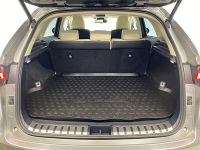 2019 Lexus NX