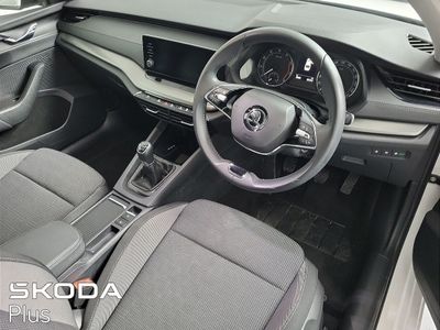 2023 Skoda Octavia