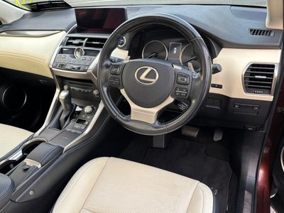 2020 Lexus NX