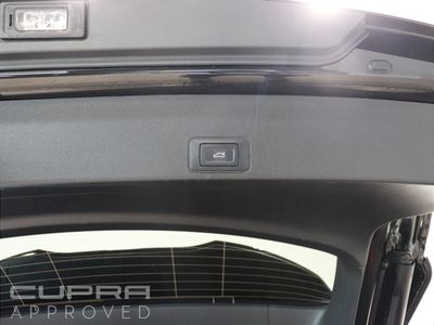 2026 Cupra Terramar