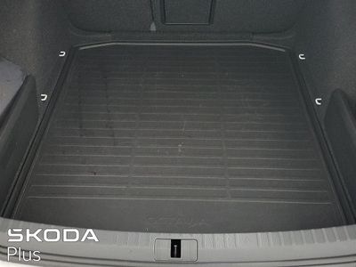 2023 Skoda Octavia