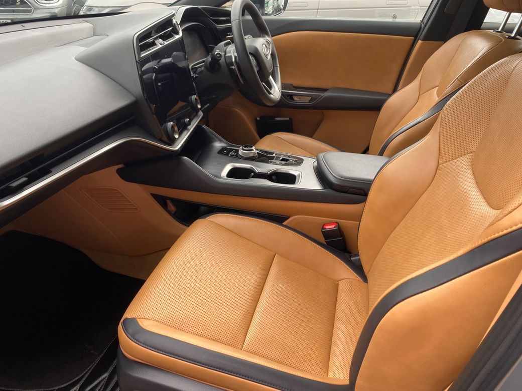 2024 Lexus RZ