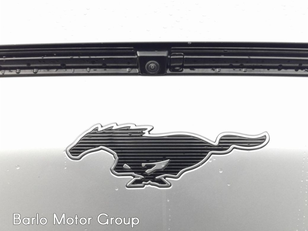 2021 Ford Mustang Mach-e