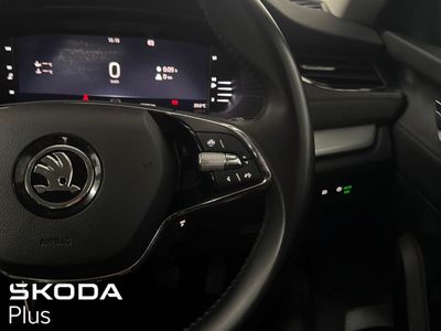 2023 Skoda Octavia