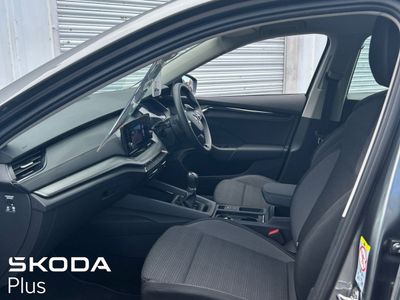 2024 Skoda Octavia