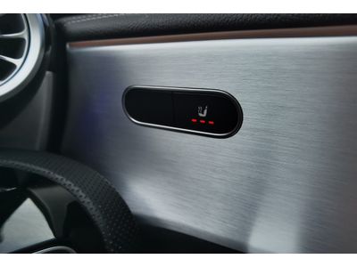 2021 Mercedes-Benz A Class