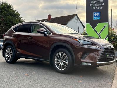 2020 Lexus NX