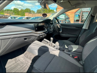 2023 Skoda Octavia