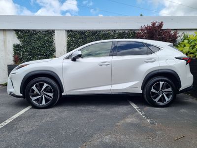 2020 Lexus NX