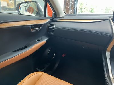 2021 Lexus NX 300h
