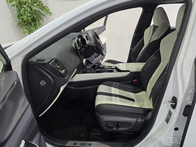 2024 Lexus NX 450H+
