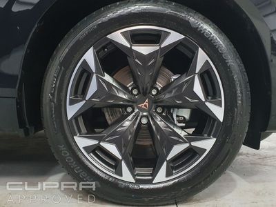 2026 Cupra Terramar