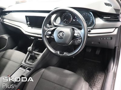 2022 Skoda Octavia
