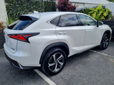 2020 Lexus NX